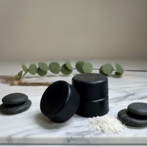 Hockey Puck